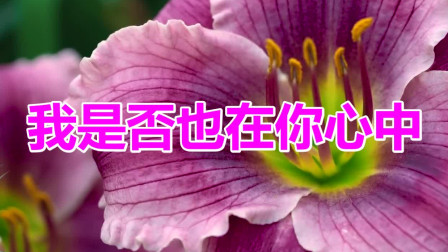 歩原らいと_歩原らいと_歩原らいと