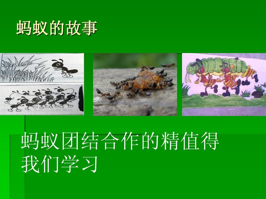 史酷比狗_史酷比_史酷比真人电影