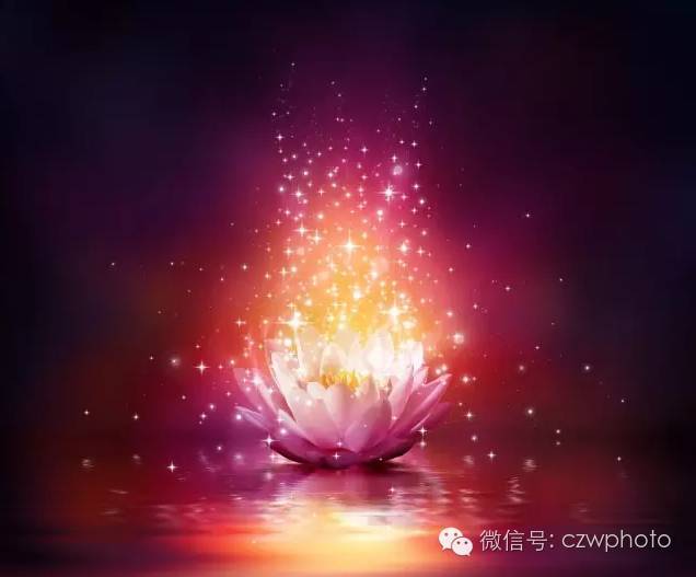 古月娜_古月娜_古月娜