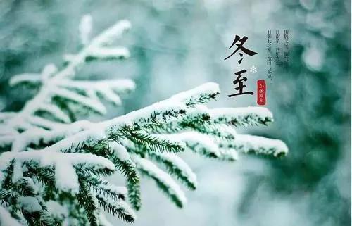 冬节_冬节是什么意思_冬节鸽