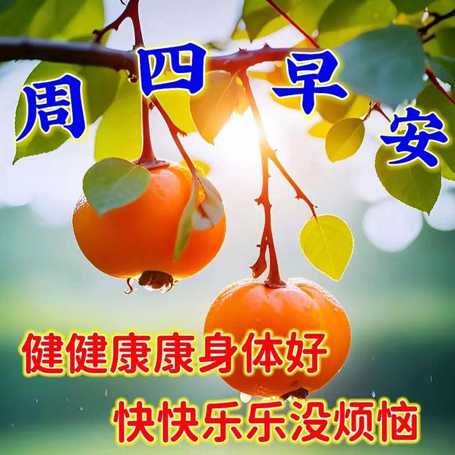 希儿_林希儿图片_陈希儿