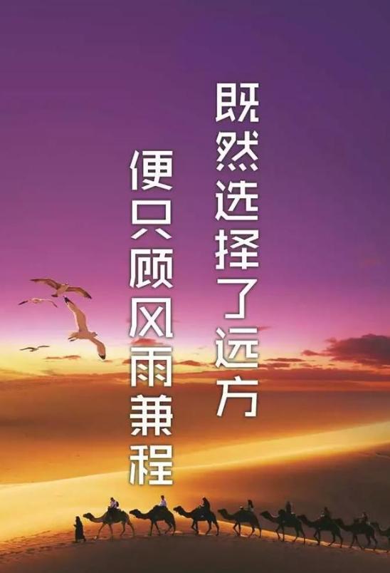 电影活着简介_电影活着1994版葛优主演_活着1994电影