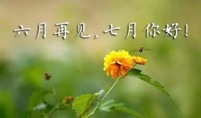 7月18号是什么日子_月日是啥意思_月日是什么