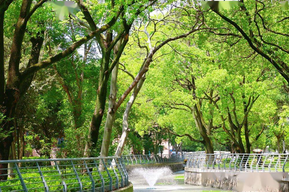 月日是什么_月日是啥意思_7月18号是什么日子