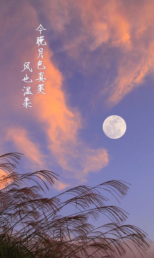购买手机游戏_买手游戏_购手机游戏