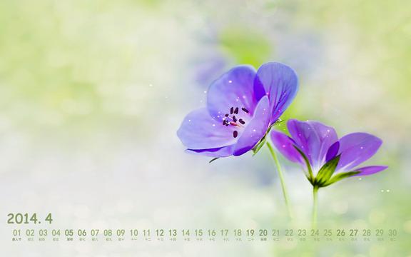 节日在大月的是_4月20日是什么节日_节日是指
