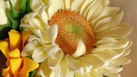 花瓣剪辑app下载_花瓣剪辑免费下载安装手机版_花瓣剪辑下载后找不到