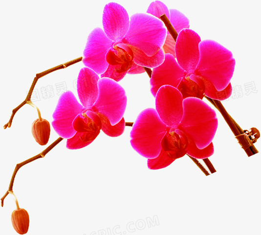 手机游戏云游戏_手机游戏云游戏平台_poe云游戏手机