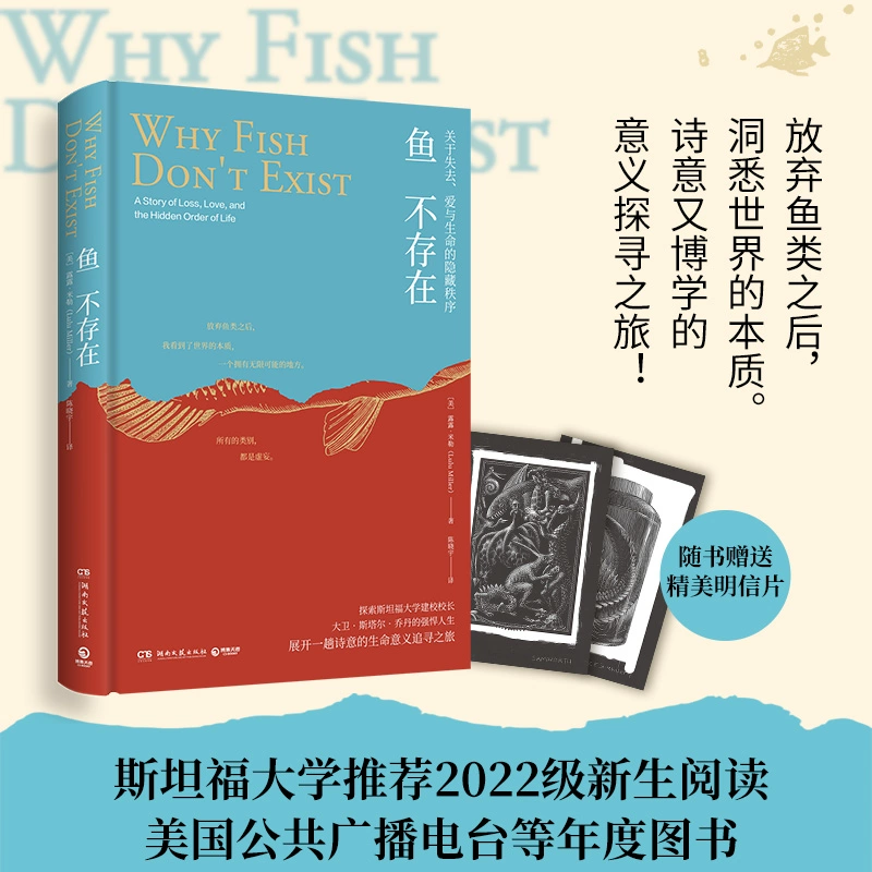 高冈由佳ins账号是什么_高冈是谁_高冈由纪