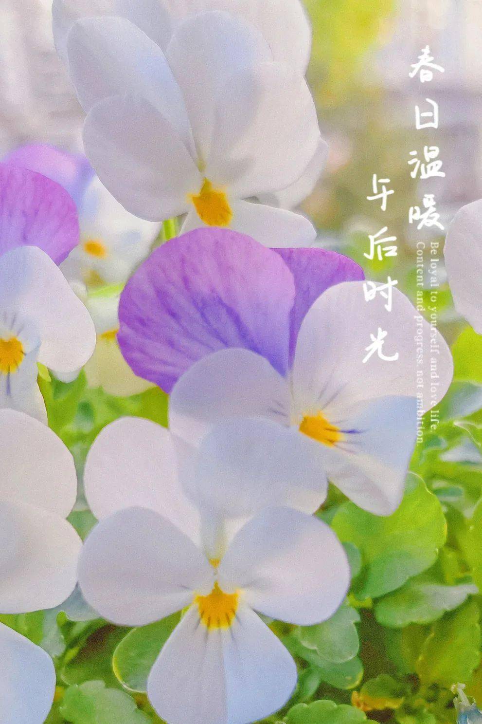 衣吹_吹衣服用冷风还是热风吹干的快_吹衣服是用热风还是冷风