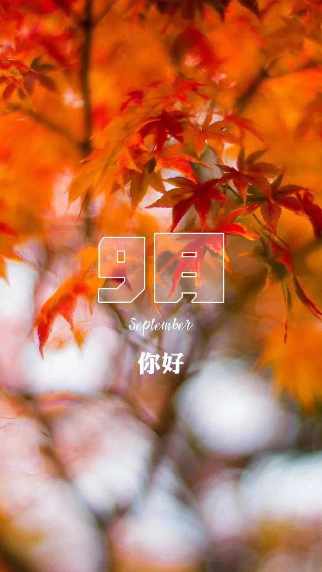 仙台惠理萌娘百科_仙台惠理结婚_仙台惠理