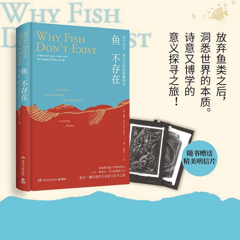 游戏改编的电视_电视剧手机游戏改编权_游戏改编影视剧