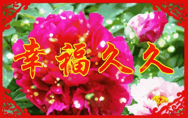 2024年是不是闰月年_2009年9月9日_exp是月日年还是日月年