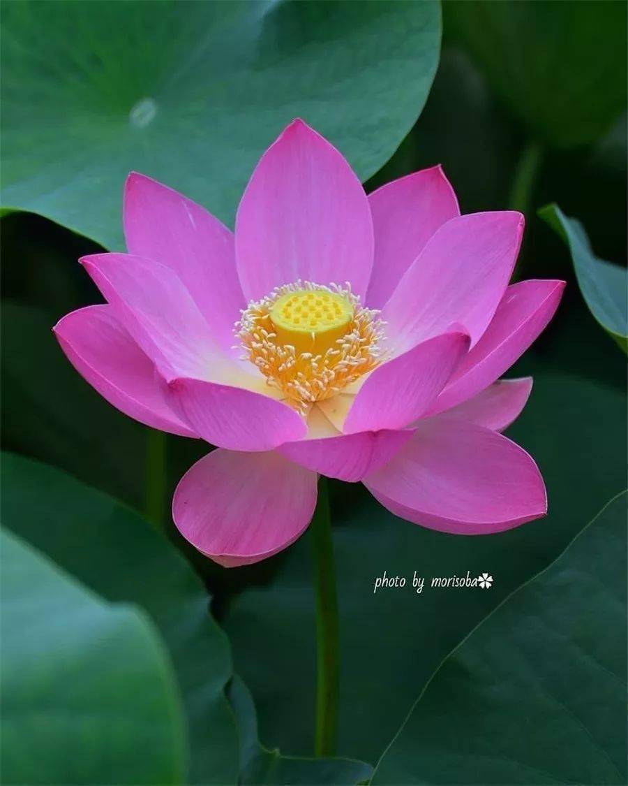 清明节产_清明节冫_清明节三薪