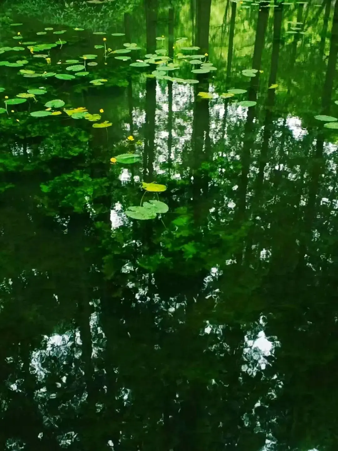 拜佛拍照手机游戏_拍照拍照手机_拍照任务游戏