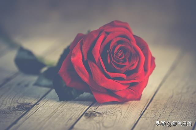 苹果手机好玩的恋爱游戏_ios爱情游戏_爱情游戏苹果手机