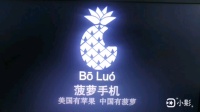 视频菠萝下载版手机怎么下载_菠萝视频手机下载版_视频菠萝下载版手机