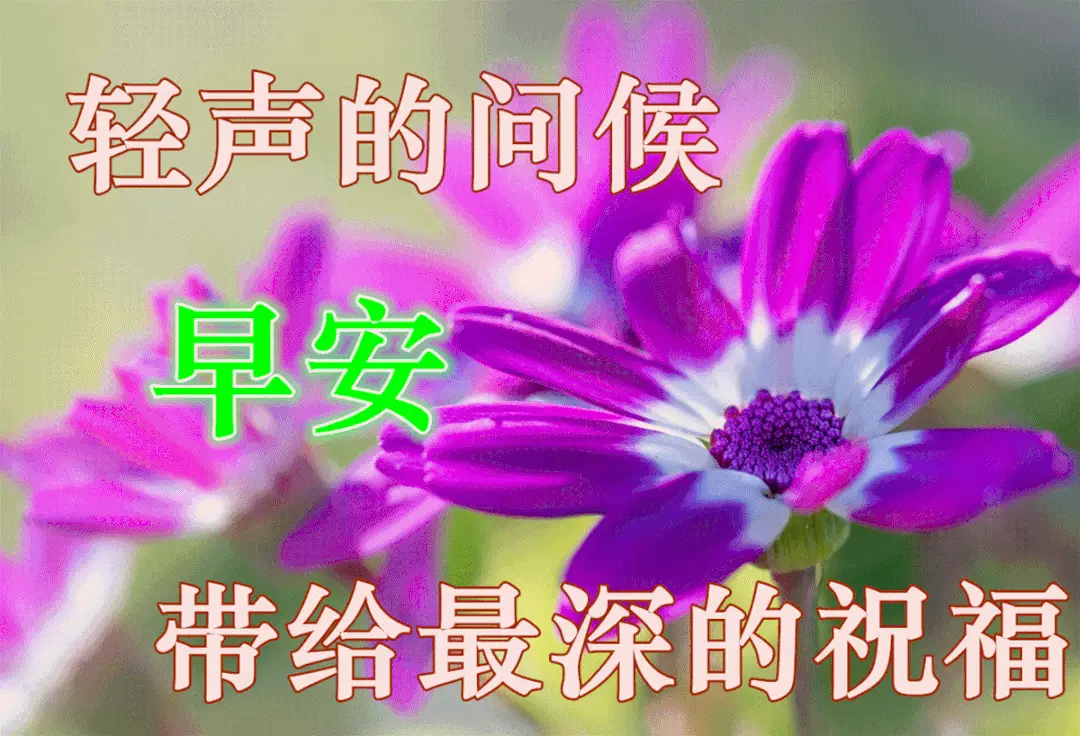 壁纸晨光手机游戏怎么设置_晨光游戏壁纸手机_壁纸晨光背影晨光图片