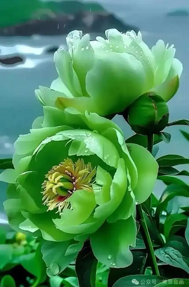 2022年国庆_2022年_谁2022年当选总书记