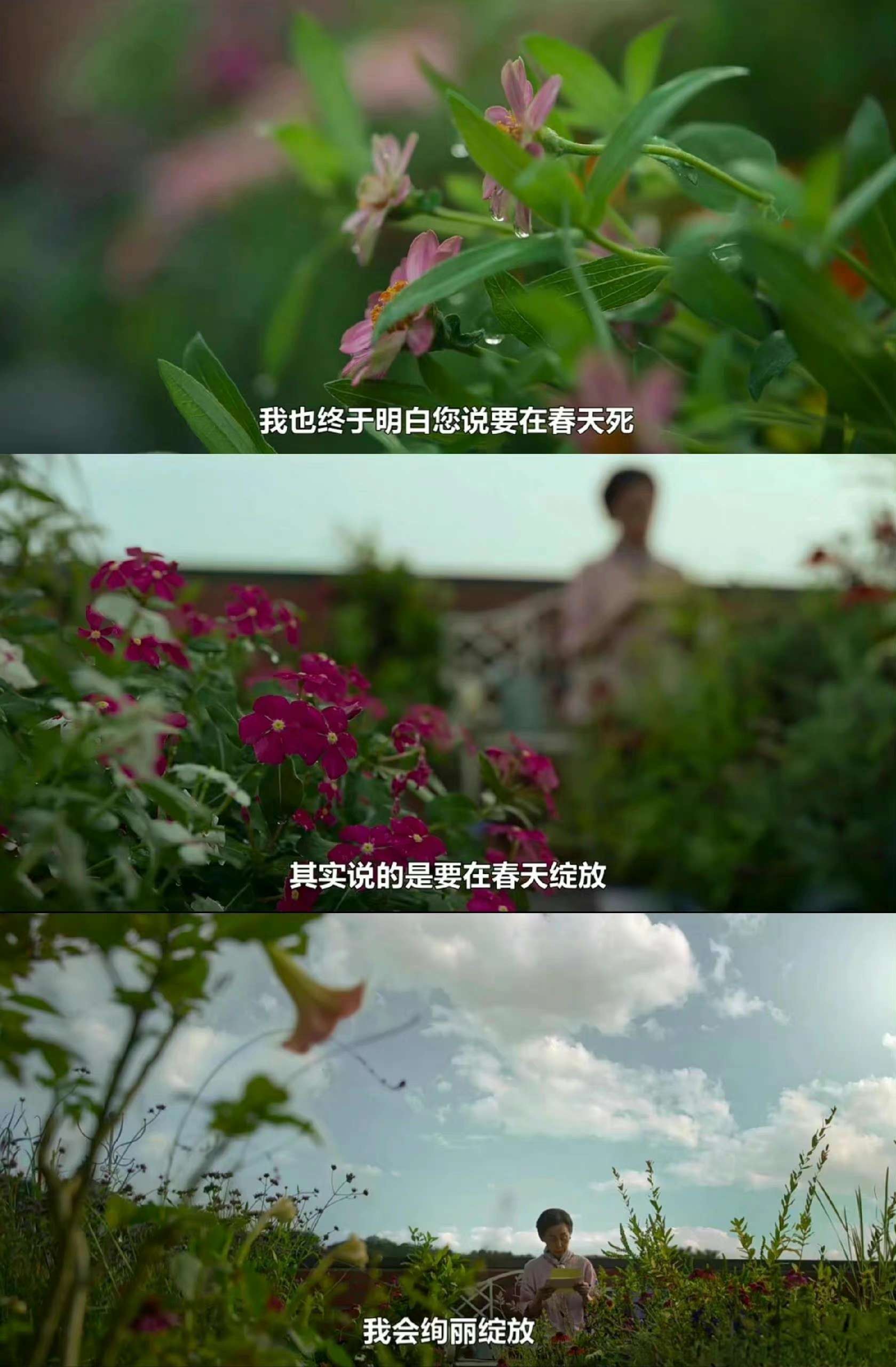 荣耀在线观看_黑暗荣耀第二季在线观看免费_荣耀全集免费观看