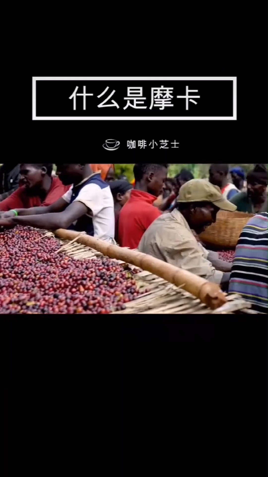摩卡乐队_摩卡假日_摩卡