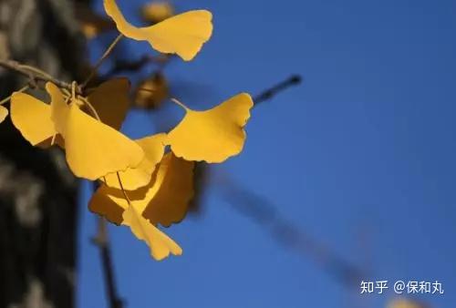 情侣手机游戏推荐两个人玩_情侣手机游戏推荐双人_NCKIA手机游戏情侣