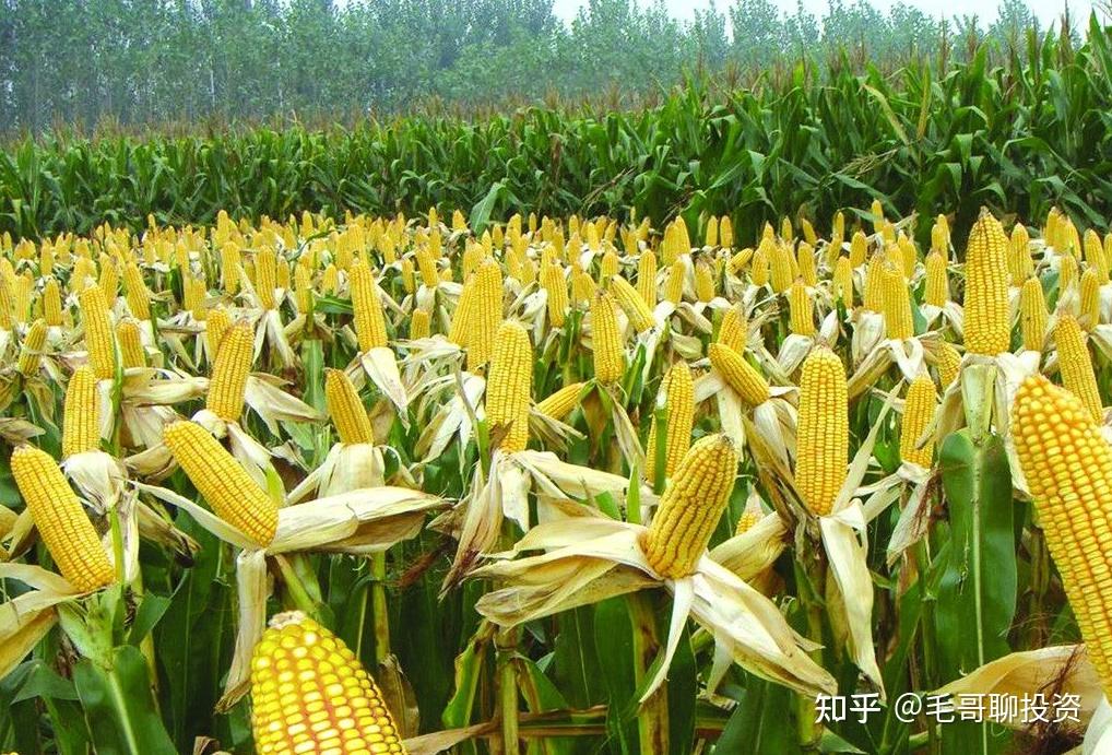 高抛低吸与低吸高抛_高抛低吸什么意思_低吸高抛指标