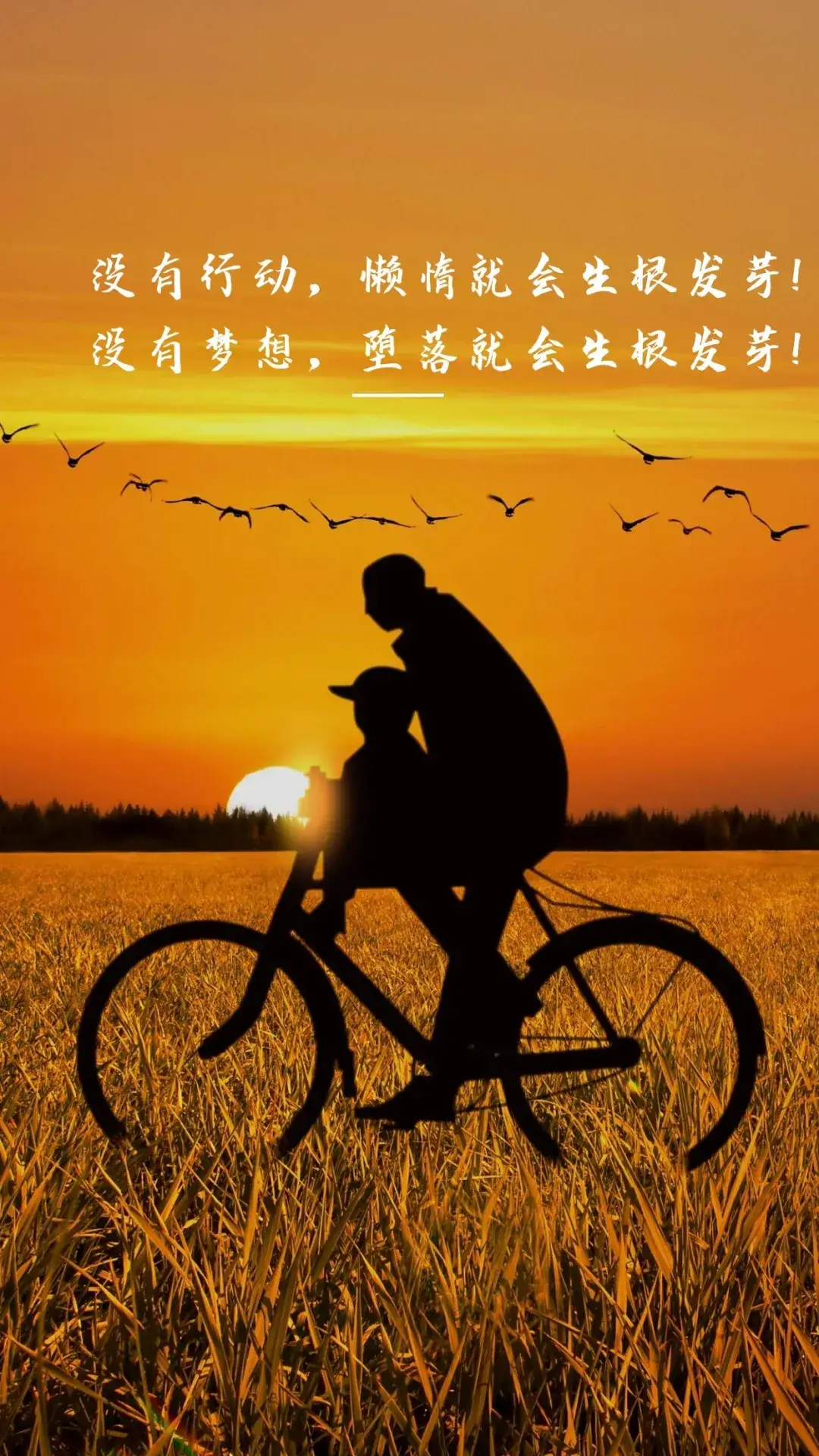 镜中花_镜中花水中月_镜中花歌曲