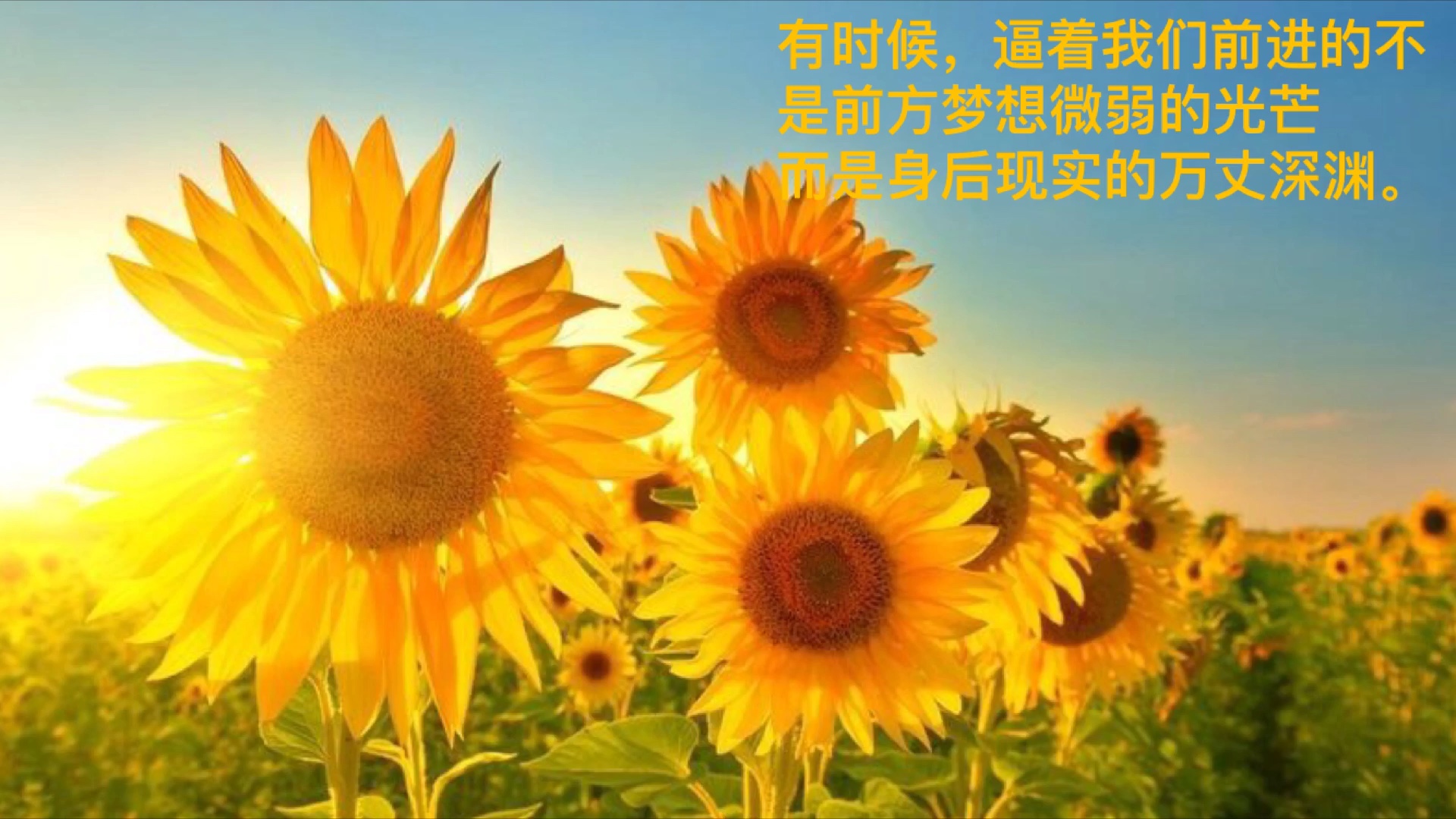 镜中花歌曲_镜中花水中月_镜中花