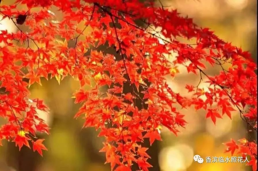 耽美手机游戏推荐_耽美手机游戏推荐_耽美手机游戏推荐