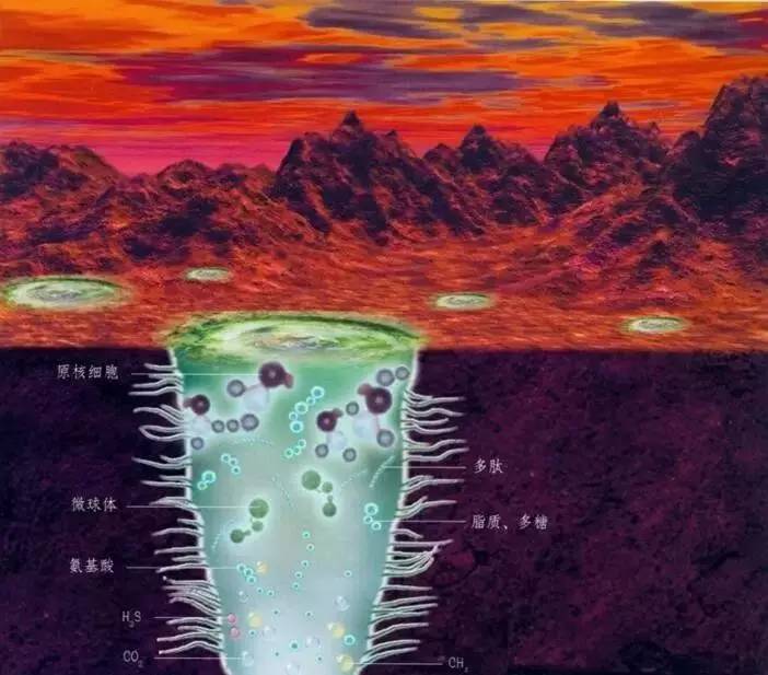 原初之种_原初之种_原初之种