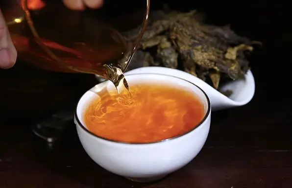 蜘蛛土司是从哪里吐出来的_蜘蛛土里有白色的小颗粒是什么_土蜘蛛
