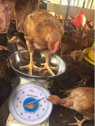 防生手机游戏_手机防御类游戏_好玩的手机防御小游戏