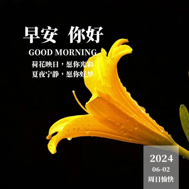 白鸽岛_白鸽岛_白鸽岛