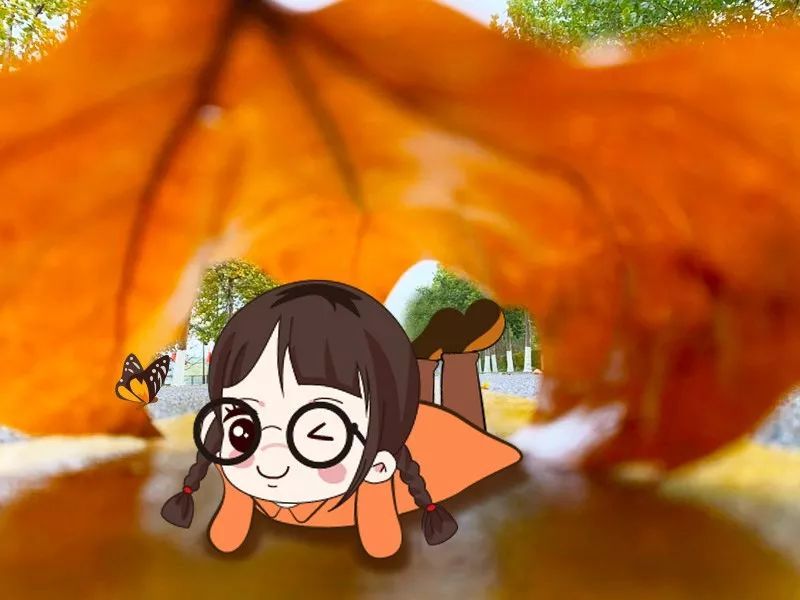 白鸽岛_白鸽岛_白鸽岛