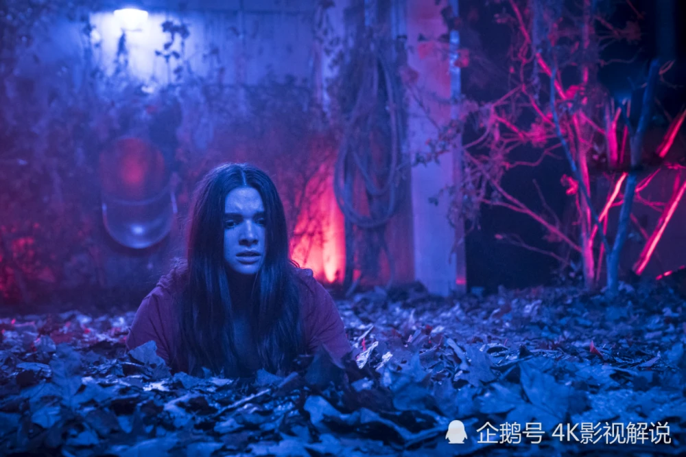恐怖故事电影_电影恐怖故事2_电影恐怖故事之红豆绿豆
