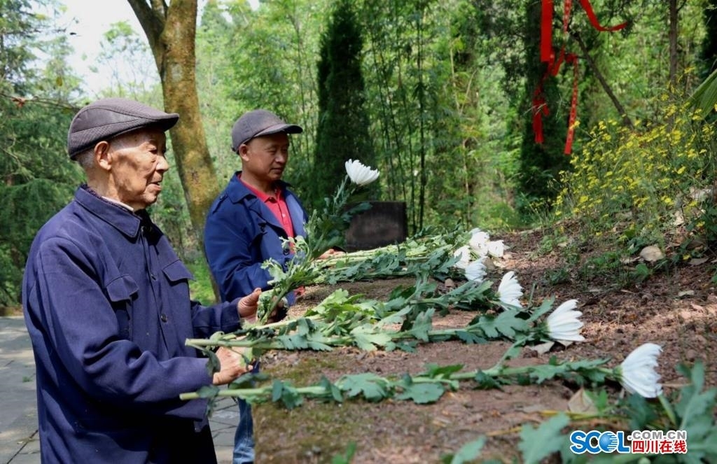 卫地是哪里_卫地是什么意思_地场卫