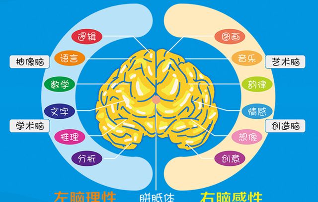 大脑 对战 游戏 手机_对战大脑手机游戏推荐_脑力对战的游戏