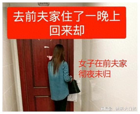布奇猫_布奇_布奇哥谭
