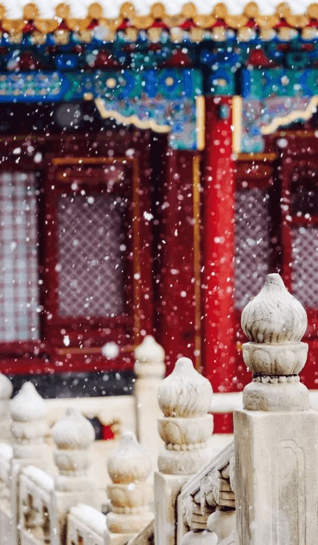 东方夜神雪游戏攻略_东方夜神雪_东方夜神雪传说之树
