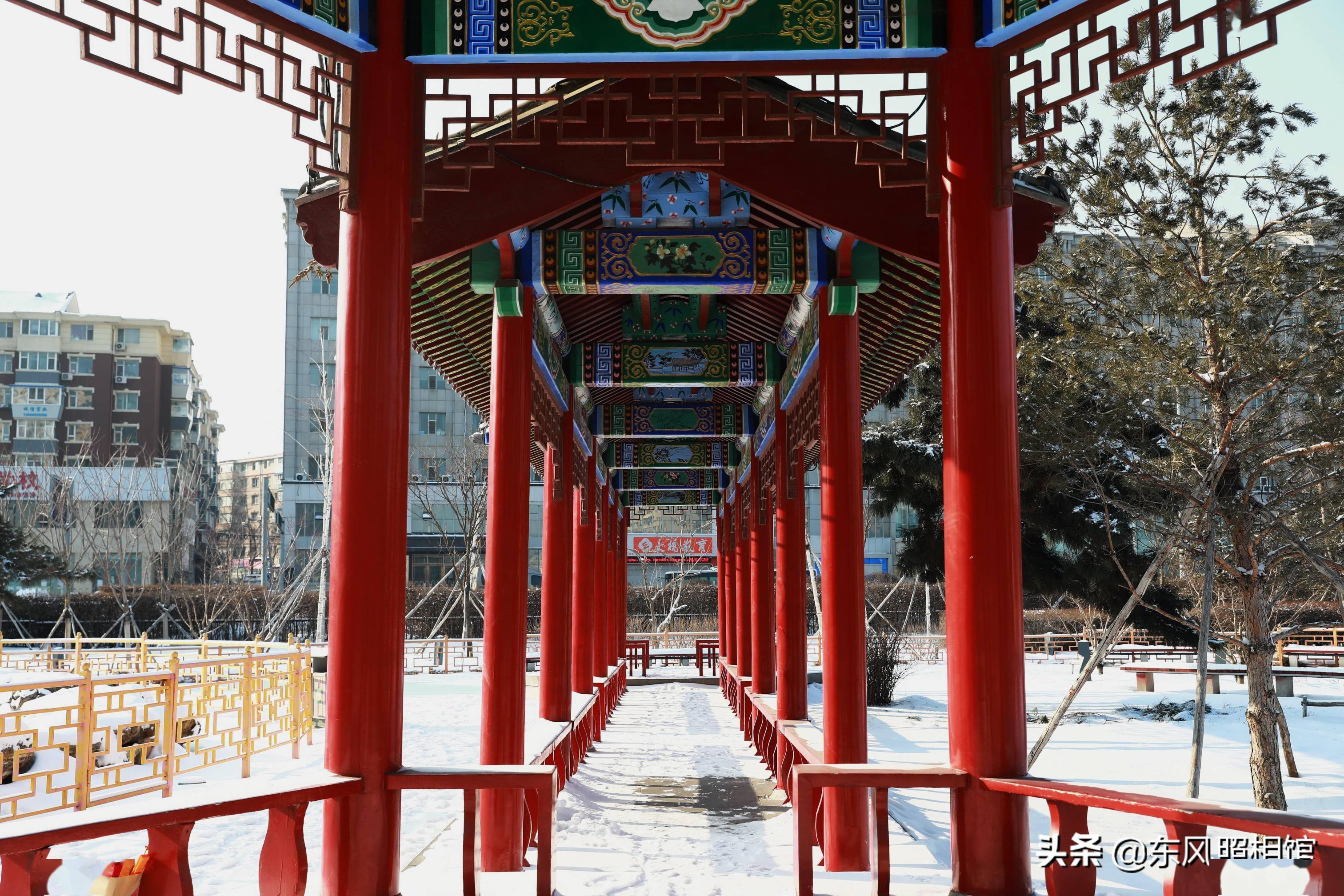 东方夜神雪_东方夜神雪游戏攻略_东方夜神雪传说之树