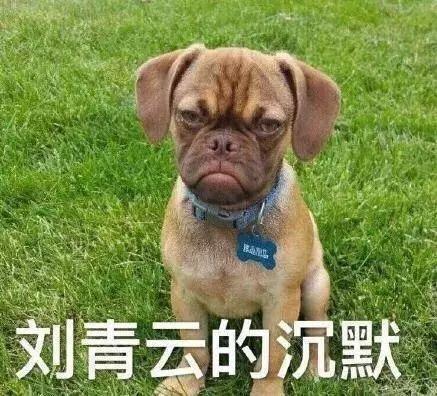 特莉休·乌纳_特丽休乌纳_特莉休乌娜