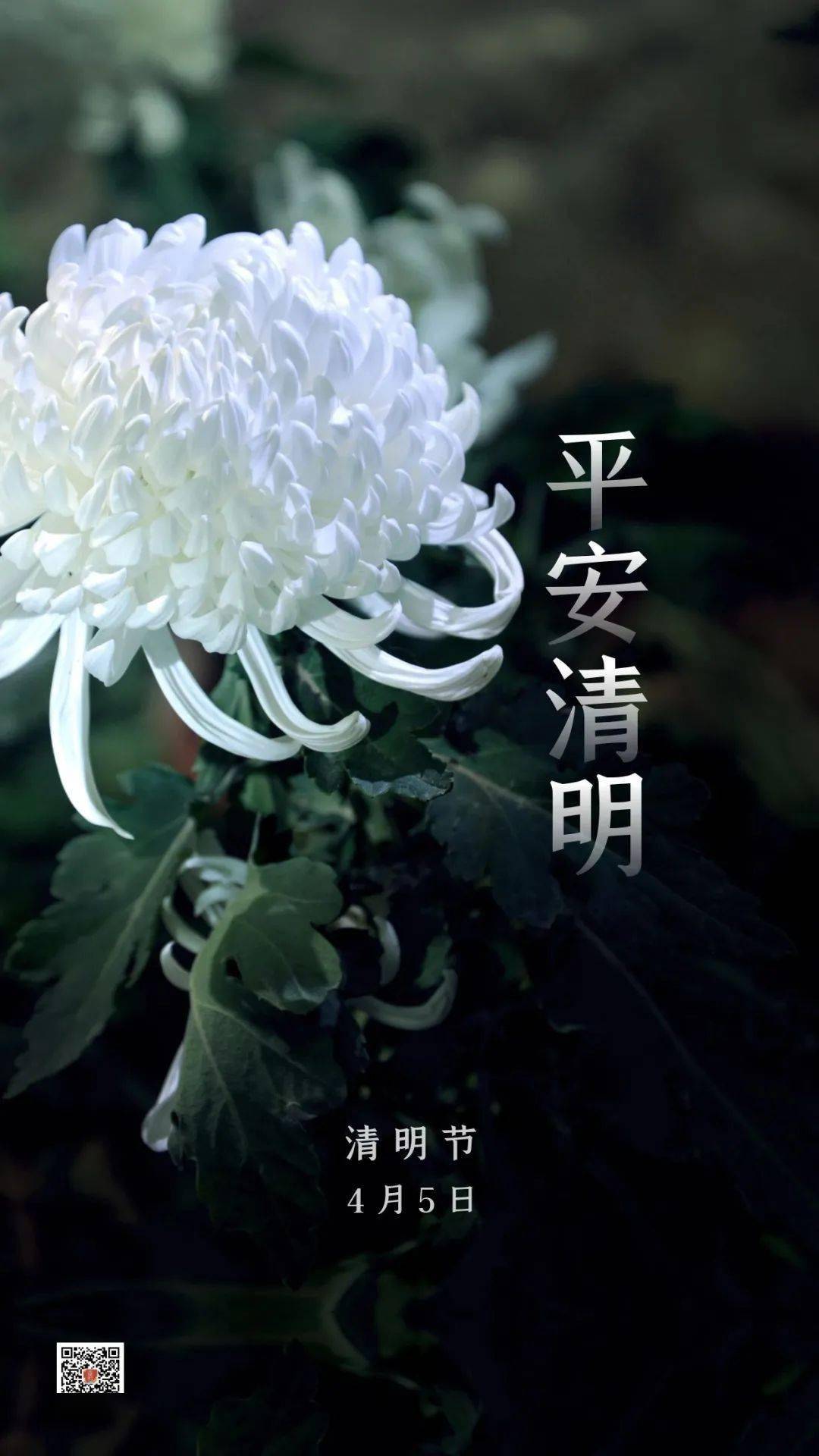 清明节休息_清明休息节假日_清明休息