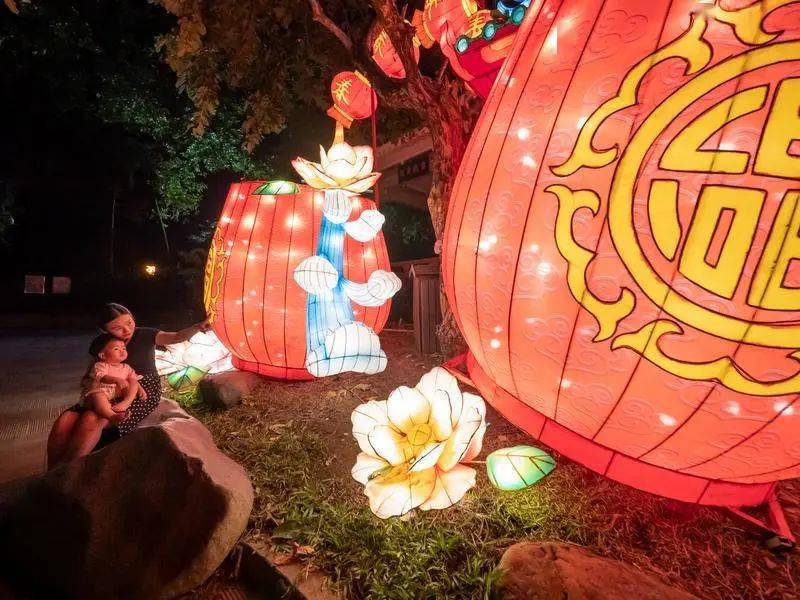 广东特色文化活动_广东特色文化作文_广东特色文化