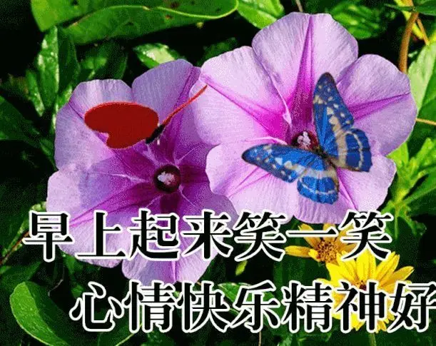 夏彦的生日_夏彦生日_夏彦生日ssr