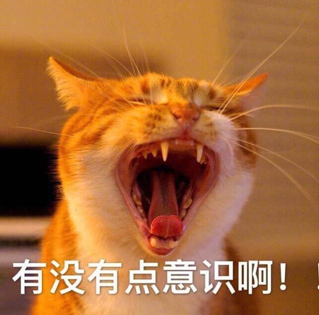 英雄联萌传改名叫什么_lol英雄联萌_萌英雄联盟