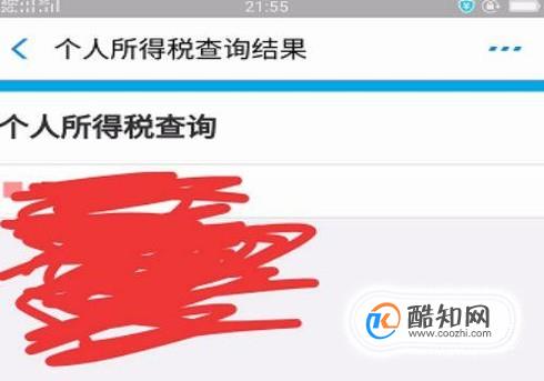 下载个人所得税app-个人所得税 App：让交税轻松愉快，还