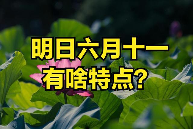 月老灵签_6月11_月经周期多少天为正常范围
