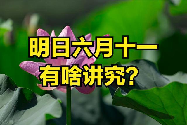 6月11_月老灵签_月经周期多少天为正常范围