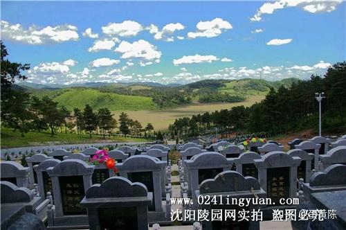 汉哀帝义陵陪葬陵_大唐双龙all陵仲陵_陵光